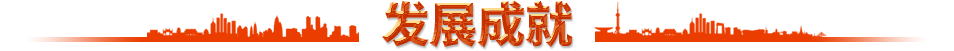 发展成就